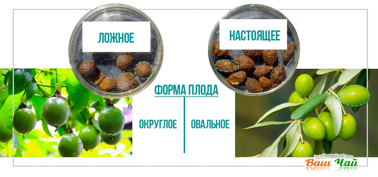 подделка Панда Хай жирного моря