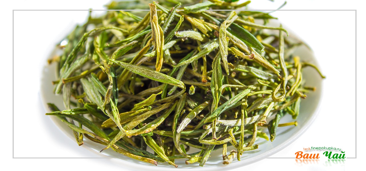 зеленый чай маофэн