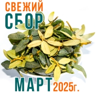 Саган Дайля (саган дали, рододендрон) из В. Саян