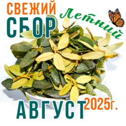 Саган Дайля (саган дали, рододендрон) из В. Саян (50г. (на 2-3 мес. )) Саган Дайля (саган дали, рододендрон) из В. Саян (50г. (на 2-3 мес. ))