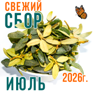 Саган Дайля (саган дали, рододендрон) из В. Саян - саган дайля свежий сбор